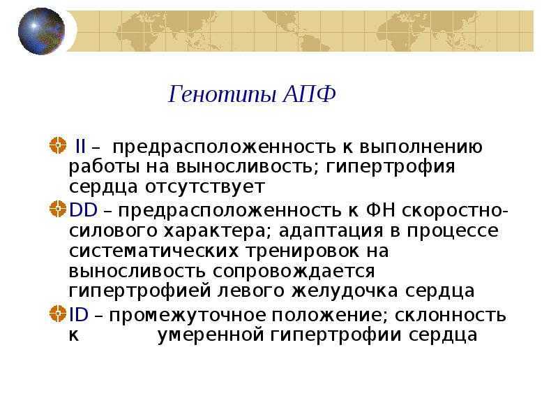 Силовая тренировка