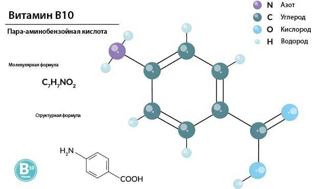 Витамин в10 (парааминобензойная кислота или пабк)