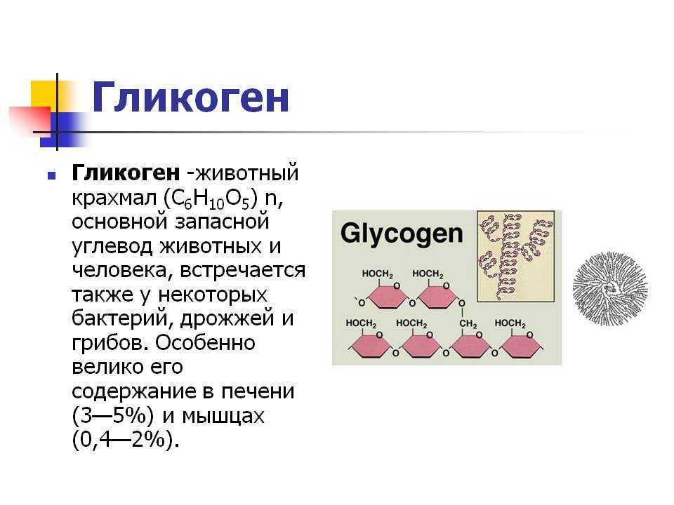 Гликоген
гликоген