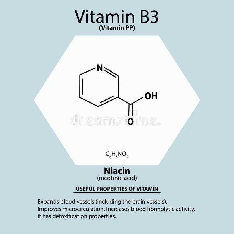 Биологическая роль витамина B3 в организме Ниацин для спортсменов: польза или вред Инструкция по применению, противопоказания