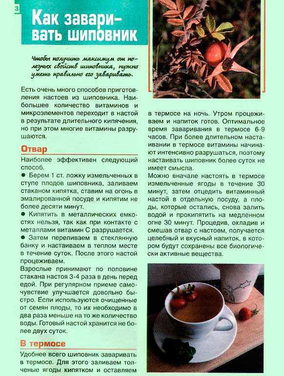 Облепиховый чай – очень вкусный горячий напиток Полезный облепиховый чай повышает иммунитет, рекомендован при простудных заболеваниях, особенно в период активности вирусов, инфекций