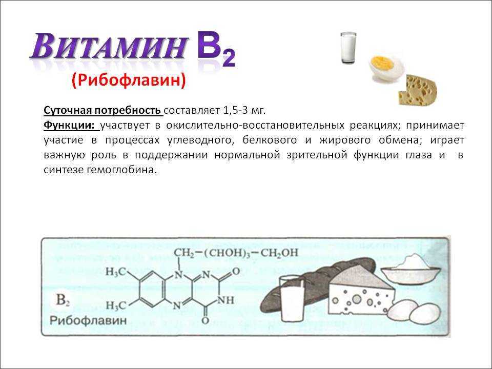 Витамин b2 (рибофлавин)