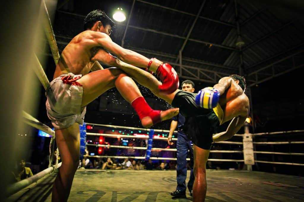 В чем разница классического бокса и тайского бокса — что выбрать