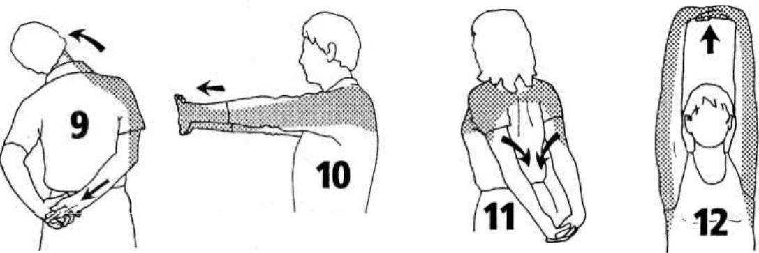 2 комплекса силовых упражнений для развития мышц плечевого пояса