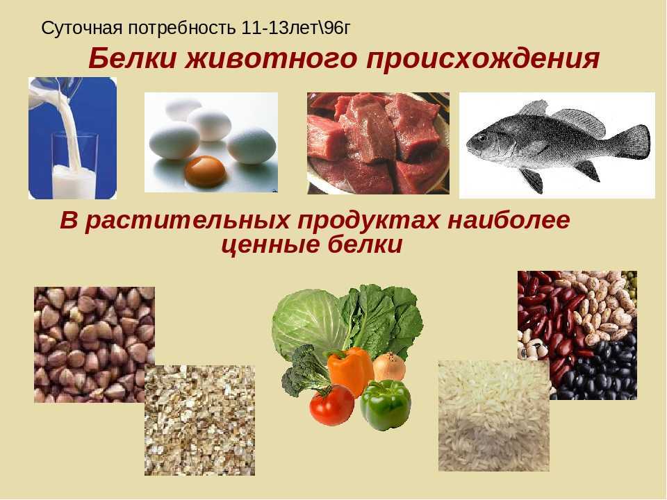 Животный и растительный белок: происхождение и отличия