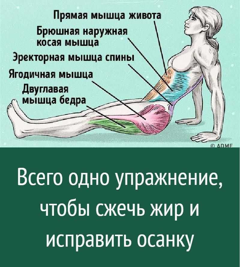 Как убрать складки на спине: упражнения для занятий в домашних условиях от fitnessera.ru