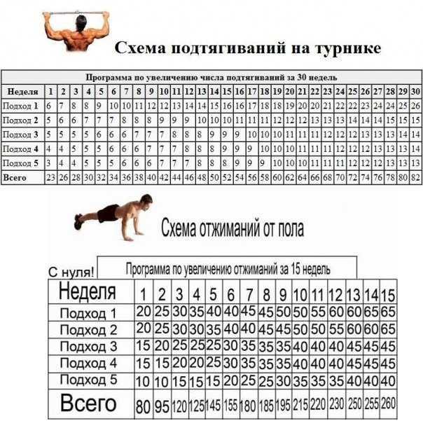 Программа тренировки на турнике и брусьях: самые эффективные упражнения - tony.ru
