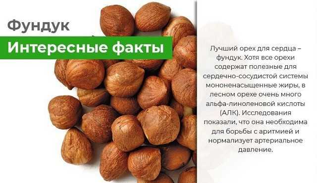 Самые полезные орехи топ-10 | натур продукт