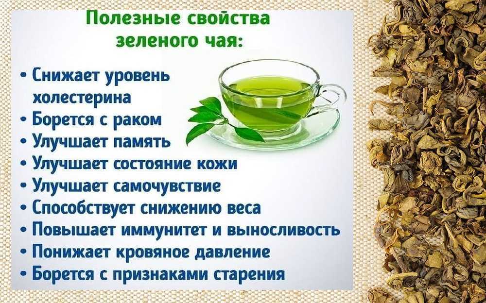 Иван-чай  —  лечебные  свойства и противопоказания