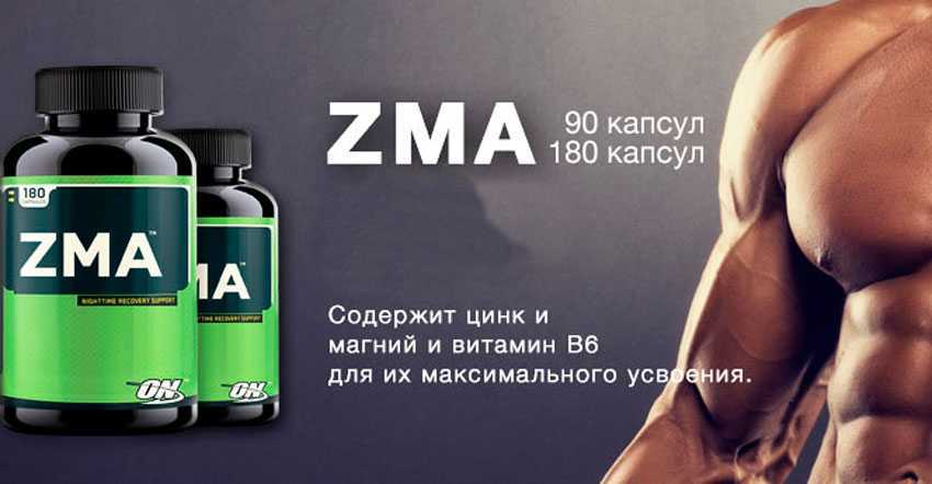 Спортивное питание zma: свойства, способ применения, эффективность, отзывы - tony.ru