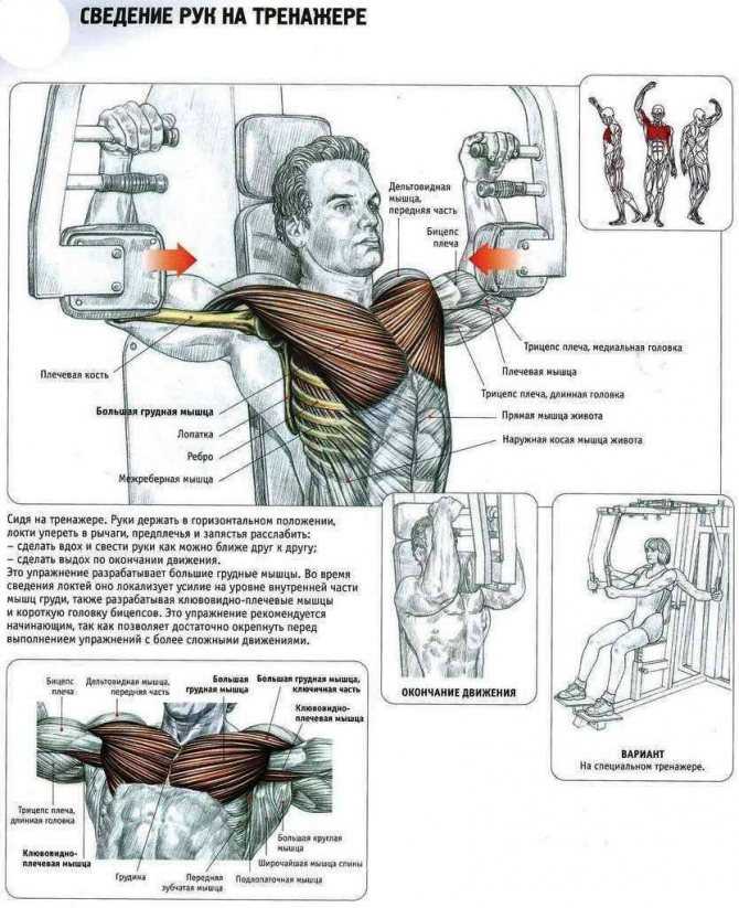 Как с помощью штанги накачать грудные мышцы?
