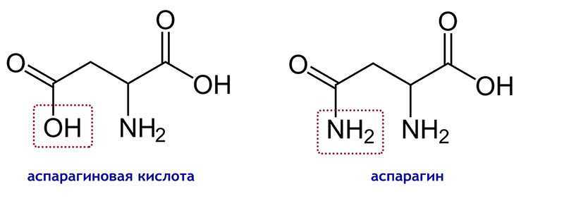 Полезные свойства и применение аспарагиновой кислоты
