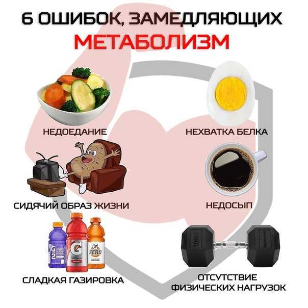 Алгоритм метаболизма