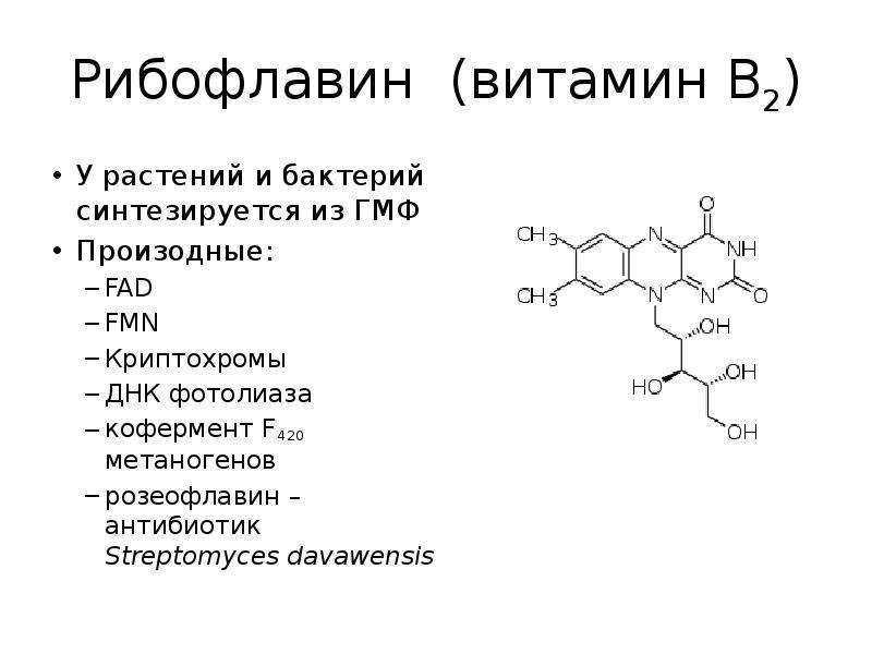 Витамин b2, рибофлавин — в каких растительных продуктах содержится и какое количество « этичный образ жизни