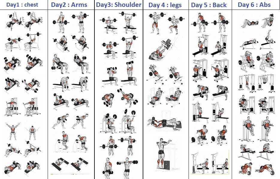 7 Exercises To Build Muscle