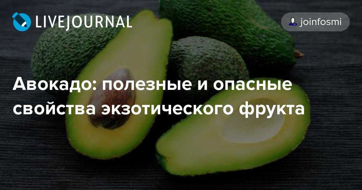 Авокадо: калорийность, польза и вред, бжу на 100 грамм