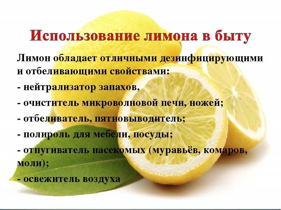 Чем полезен лимон для здоровья человека, сколько витаминов в цитрусе