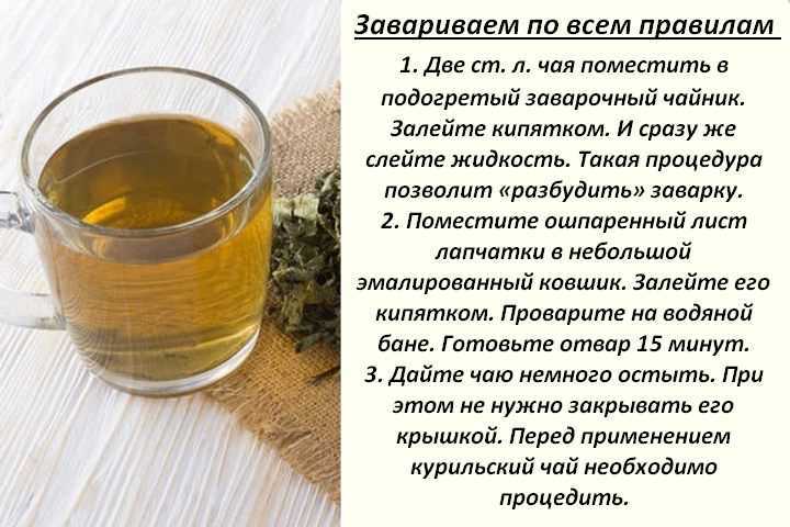 Иван чай полезные свойства и противопоказания, польза и вред травы для организма человека