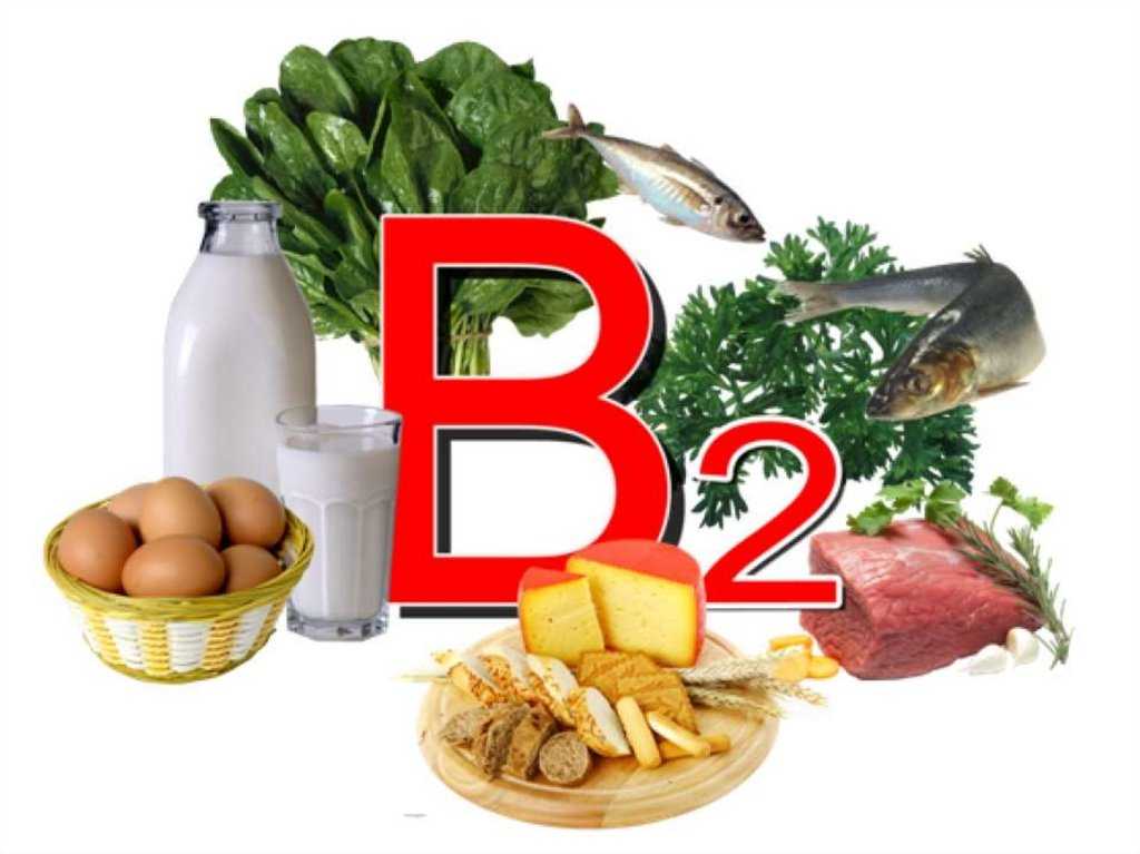 Витамин в2 (рибофлавин). витамины для здорового образа жизни, витаминно-минеральные комплексы для вашего здоровья и долголетия.
