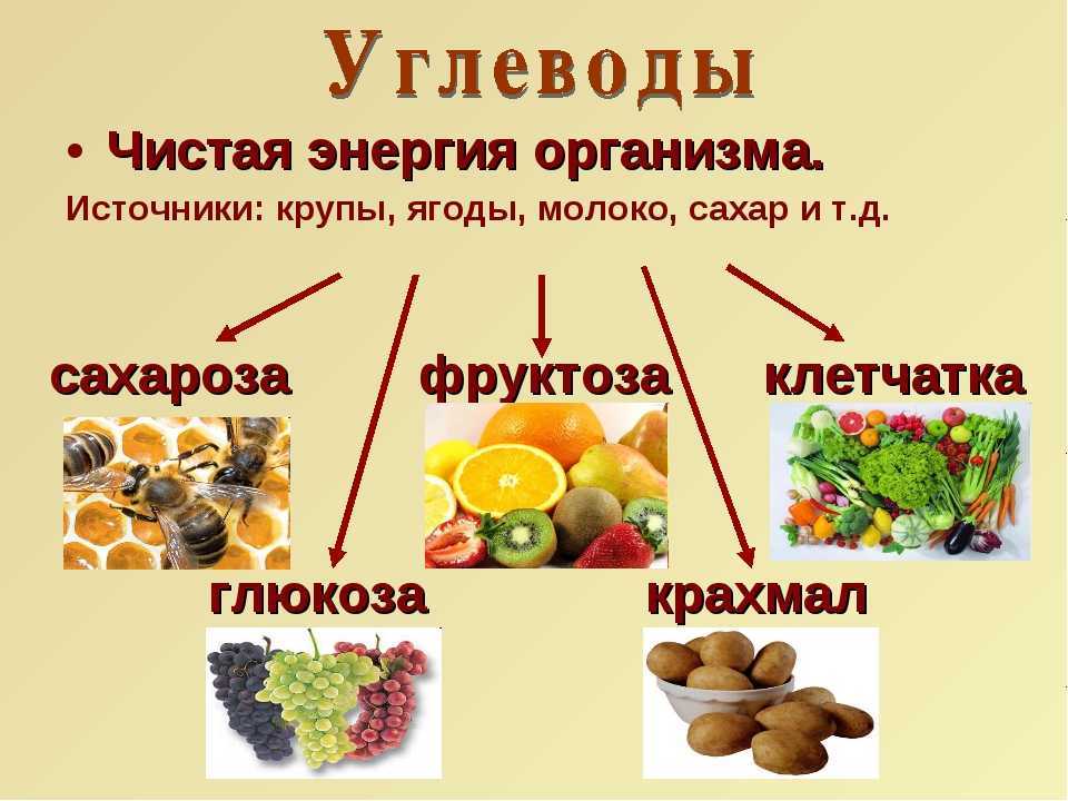 Простые (быстрые) углеводы - список продуктов в таблице, польза и вред
