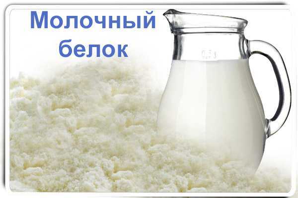 Все, что нужно знать о молоке а1 и а2 | vogue russia
