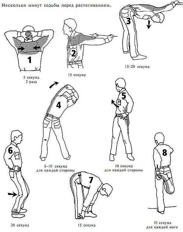 Упражнения для рук и плеч: 11 эффективных упражнений с фото