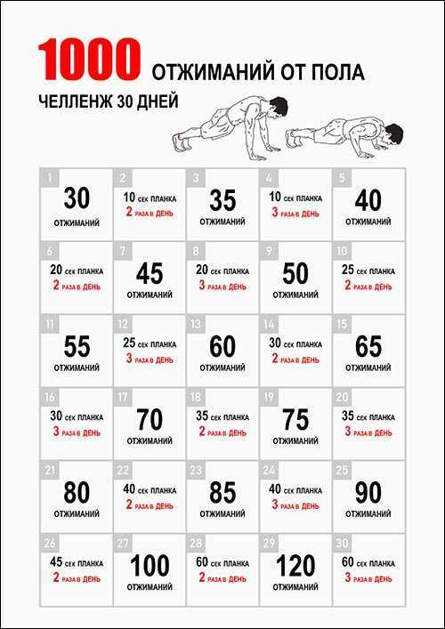 Приседания на 30 дней - программа тренировок