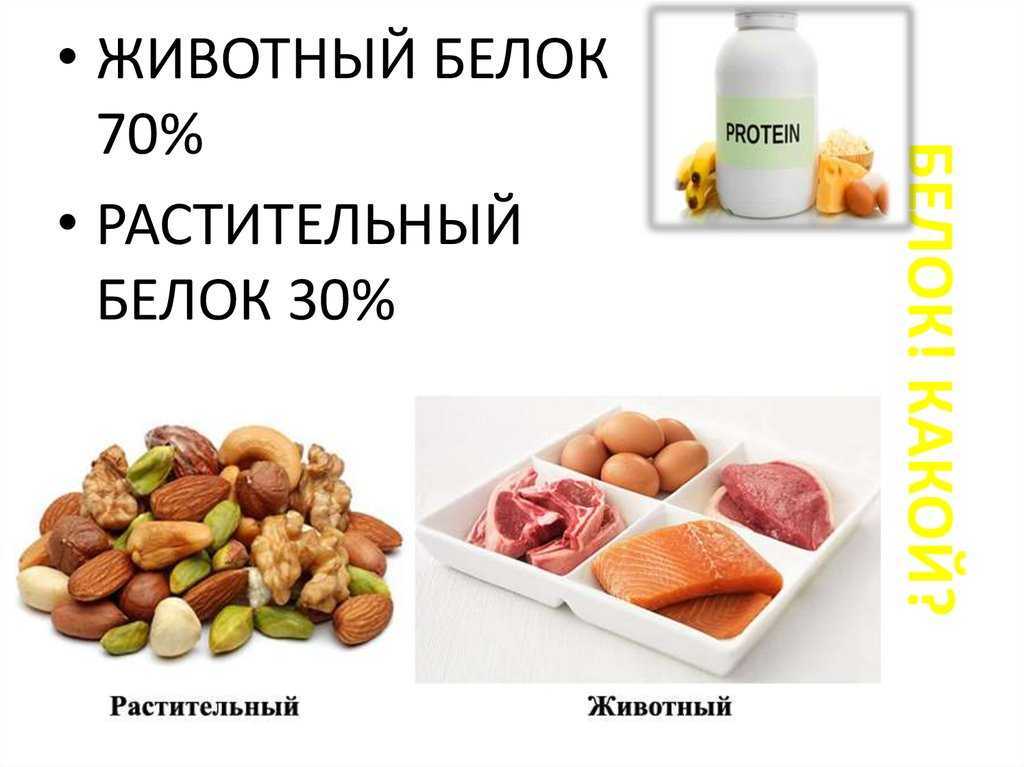 Суточная норма белка (растительного и животного) - pro-md.ru