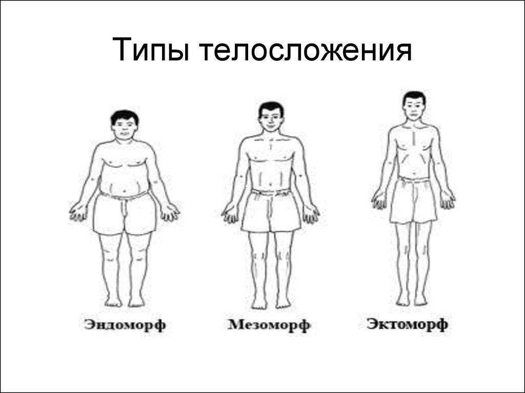 Как мужчине и женщине определить свое телосложение?