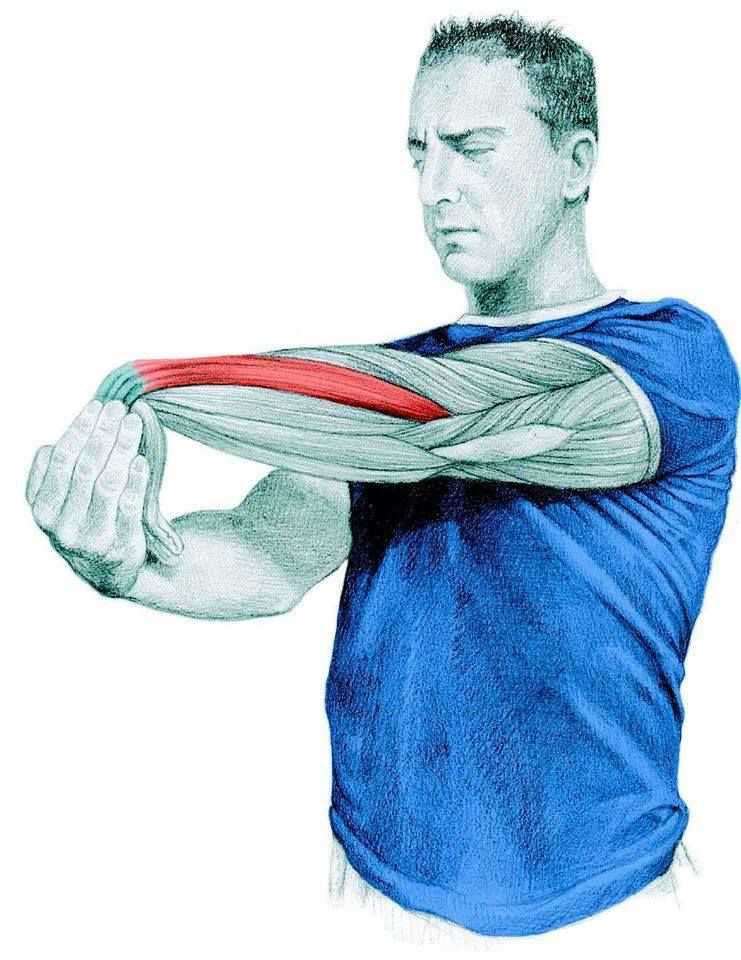 Болят мышцы после тренировки. крепатура в мышцах. что делать?
