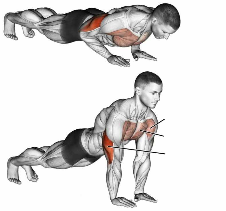 Можно ли делать отжимания каждый день, это полезно или вредно для вашей мускулатуры Сколько раз нужно отжиматься и какие схемы тренировок могут быть
