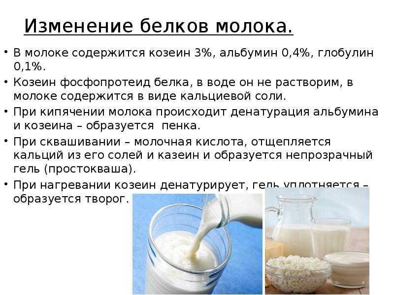 Натуральное цельное молоко. что такое цельное молоко: состав, польза, вред | milklife
