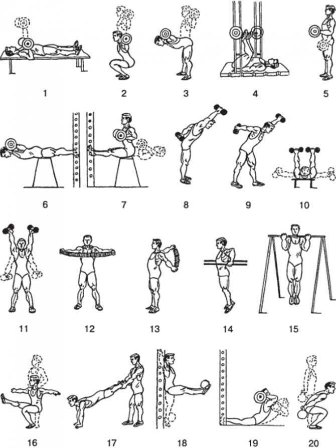 Упражнения для дома. 15 лучших упражнений для домашних тренировок.