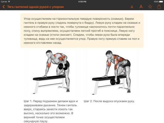 Как делается тяга гантели в наклоне одной рукой к поясу Польза и противопоказанияТехника выполнения упражнения и какие мышцы работают Кроссфит комплексы