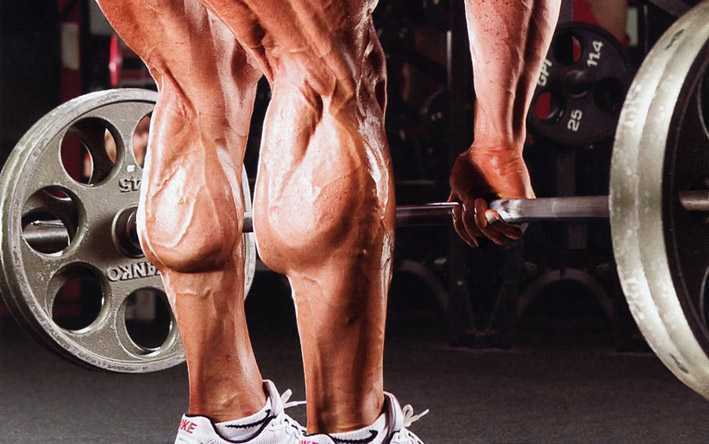 Особенности анатомии, эффективные упражнения и полноценная тренировка икроножных мышц Узнайте как правильно тренировать икроножные мышцы