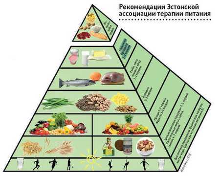Из чего состоит пирамида здорового питания?