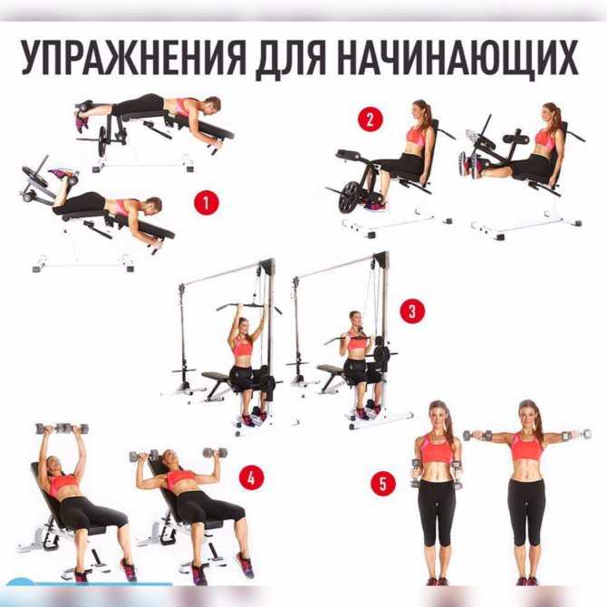 Тренировки дома для девушек: готовые программы упражнений для всех мышц (видео/фото/схемы)