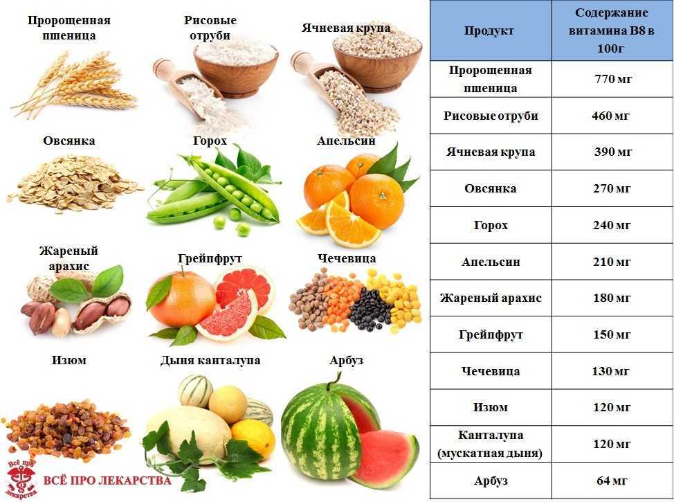 Малина — описание, полезные и вредные свойства, состав и калорийность плодов