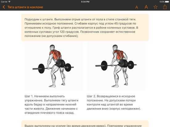 Жим штанги стоя с груди: особенности упражнения и техника выполнения | rulebody.ru — правила тела