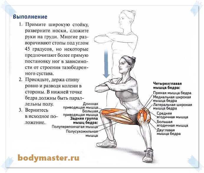 Приседания плие: техника и особенности упражнения | rulebody.ru — правила тела