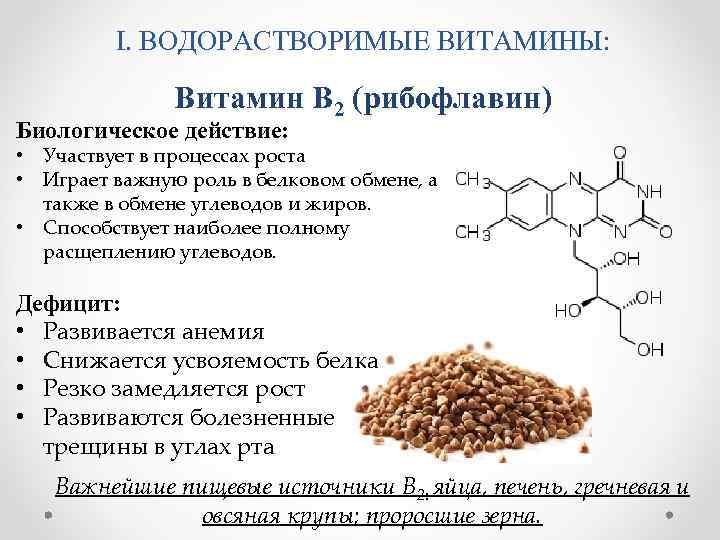 Витамин в2 (рибофлавин) — значение, в каких продуктах содержится, как повысить