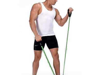 Упражнения с эспандером для начинающих (пружинным, резиновым) - силовая тренировка на все группы мышц для всего тела