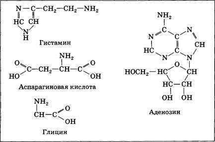 Аспарагиновая кислота