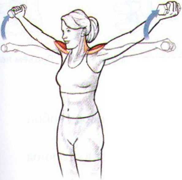 Комплекс упражнений для развития гибкости плечевого пояса