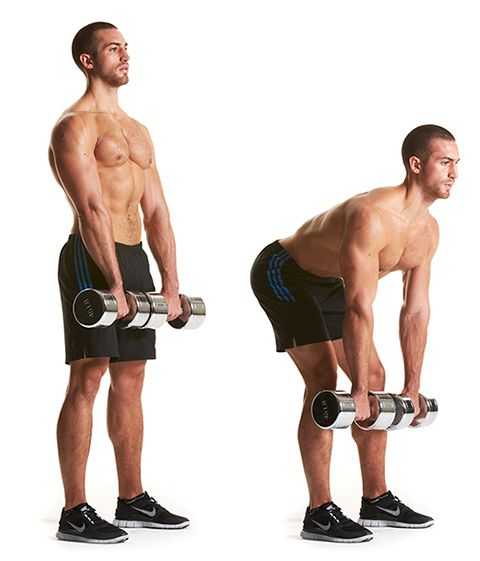 Становая тяга: техника выполнения со штангой для мужчин, какие мышцы работают, виды тяг