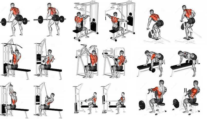 Какие упражнения для мышц спины лучше всего выполнять дома или в зале Упражнения для похудения, развития, укрепления спины