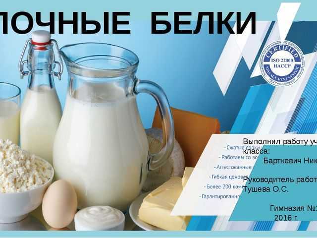 Молочный белок что это? источники, польза и вред молочных белков
