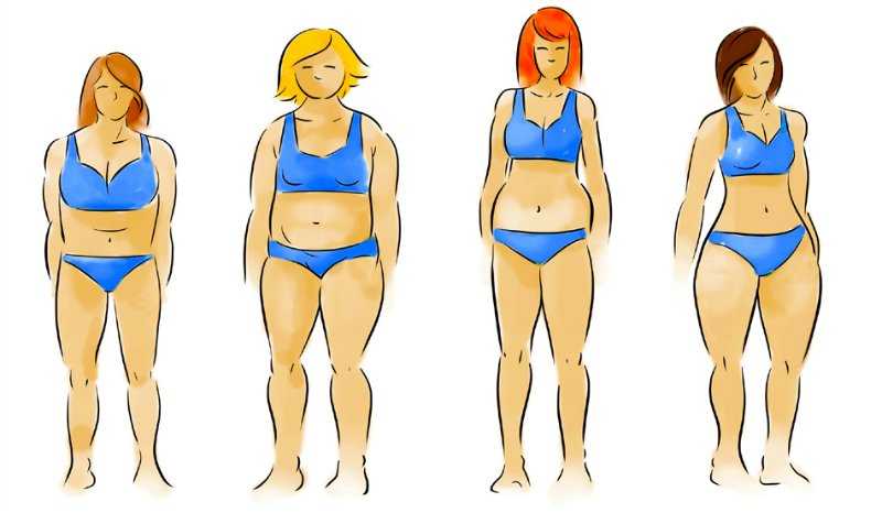 Эктоморф: особенности телосложения, правильное питание и программа тренировок для набора мышечной массы