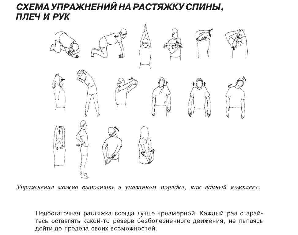 Упражнения для мышц рук и плечевого пояса. атлетическая гимнастика без снарядов