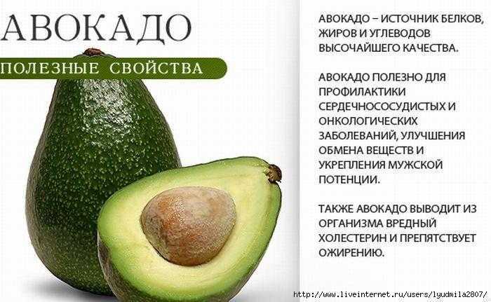 ? калорийность авокадо в 1 шт. и на 100 грамм: таблица бжу, состав